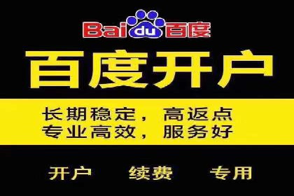揭秘成功的关键词竞价排名背后的策略与执行