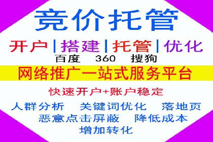 SEM代运营案例分析：精准投放策略解析
